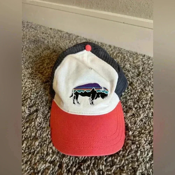 Patagonia Accessories - Patagonia Fitz Roy Bison Buffalo color blocked trucker mesh SnapBack hat cap